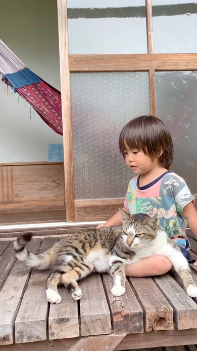 三女と仲良しな猫