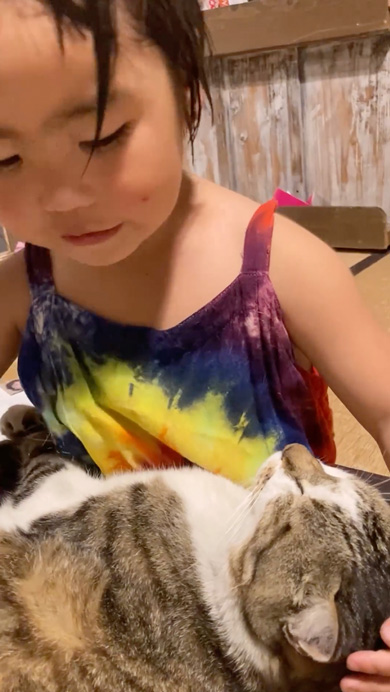 三女と仲良しな猫