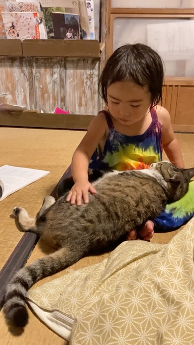 三女と仲良しな猫