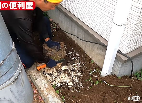 切り株への対処