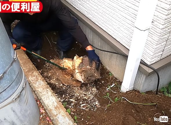 切り株への対処