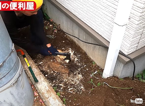 切り株への対処