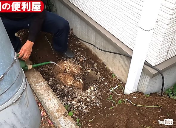 切り株への対処