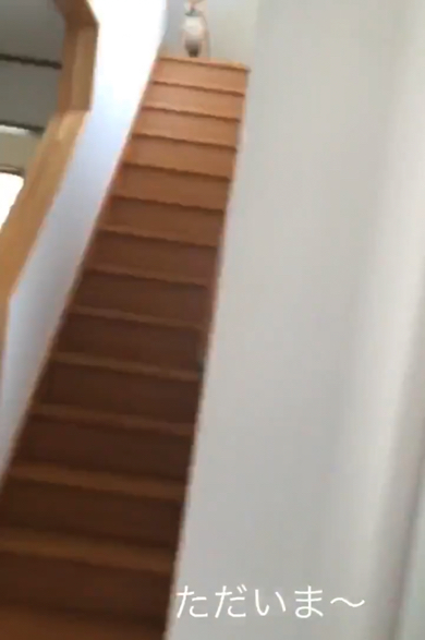 大好きなお姉ちゃんが帰宅