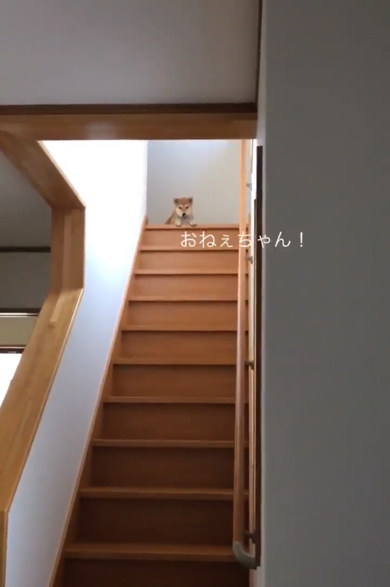 「おねぇちゃん！」