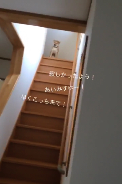 ワンコのラブコールが止まりません