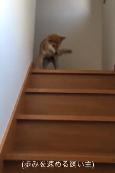 歩みを速めるお姉ちゃん