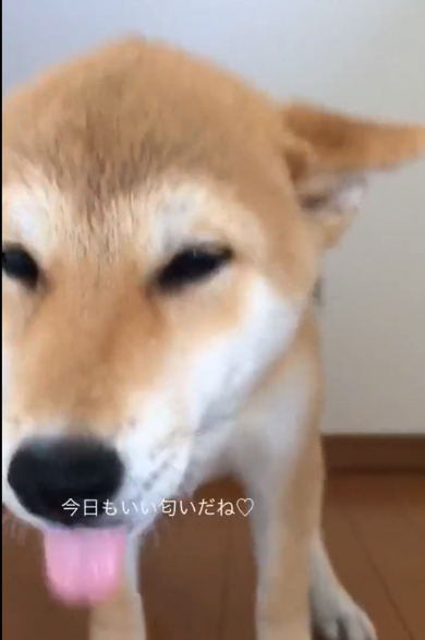 いっぱい甘えられたかな？