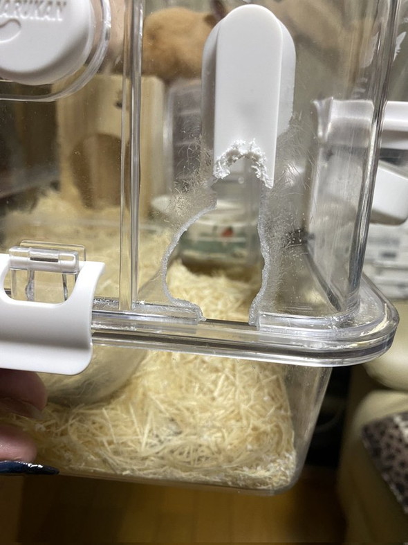 食い破られたケージ