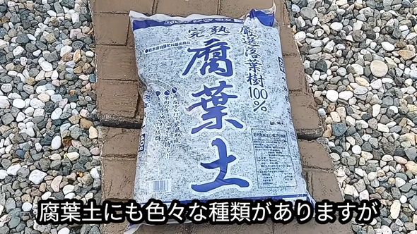 ドクダミ対策のために使う腐葉土