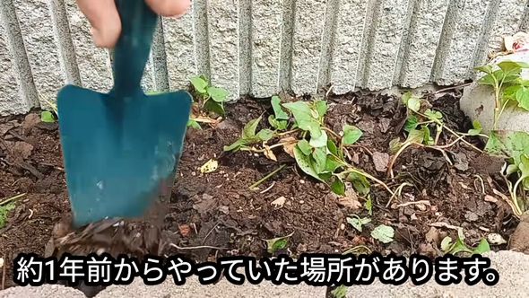 約1年前に実施した実験結果を紹介