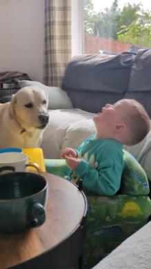 ベストフレンドとのおしゃべり