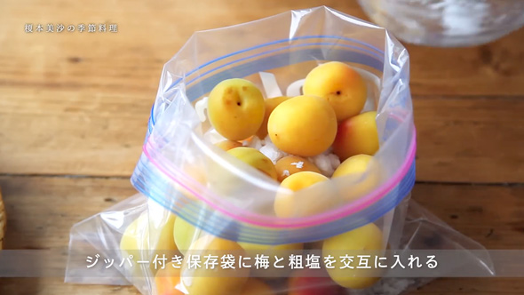 簡単な梅干しの作り方