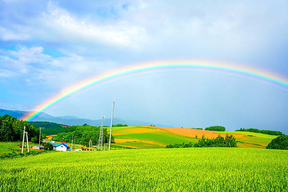 官公庁オークションに除雪車