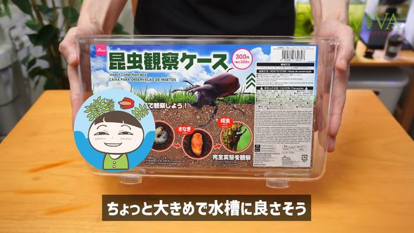 水槽