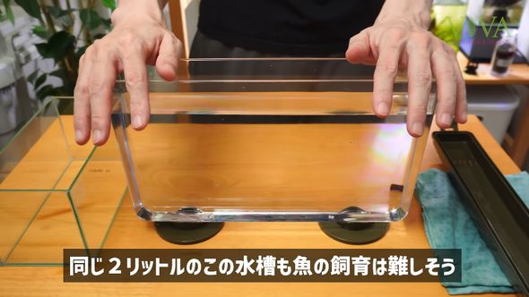 魚を飼育する用途には向いていないダイソーの「昆虫観察ケース」