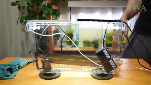 水槽に使う道具をセットしたダイソーの「昆虫観察ケース」