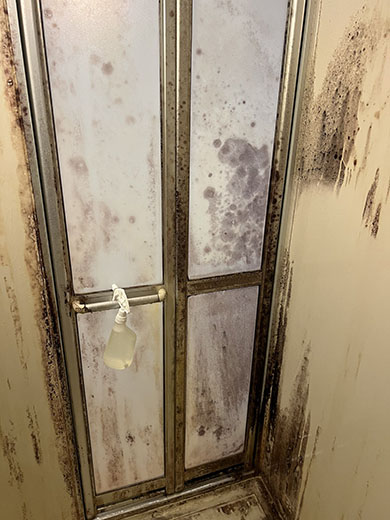 ハウスクリーニングをする浴室のドア（清掃前）