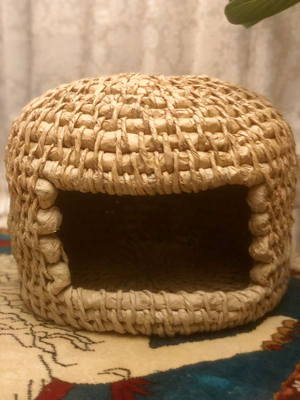 Amazonの紙で作った猫ちぐら