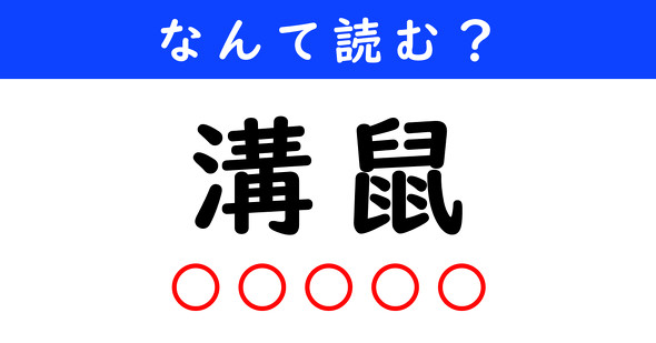 漢字クイズ　難読漢字　溝鼠