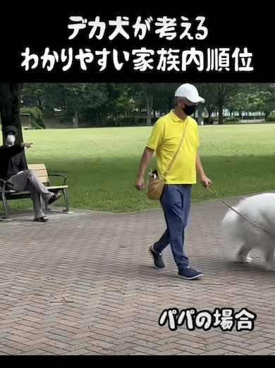 パパに気付くデカ犬