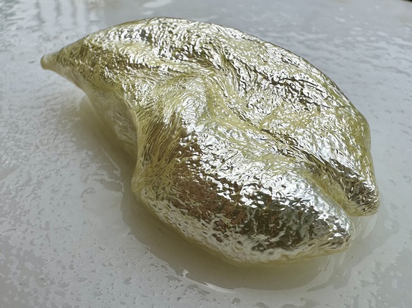 深海魚であるギスをさばいて体内から取り出した浮き袋