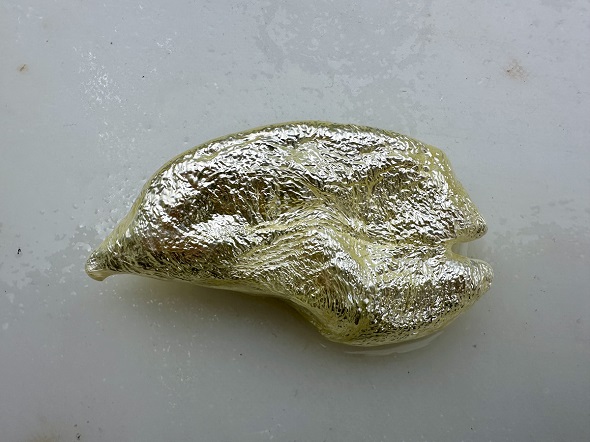 深海魚であるギスをさばいて体内から取り出した浮き袋