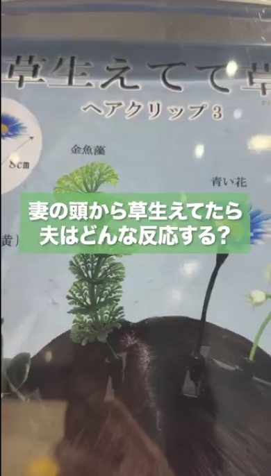 妻の頭から草生えた