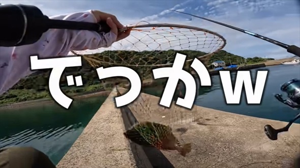 カワハギ釣りに行ったはずの妻が超大物ゲット