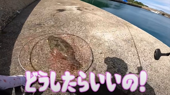 カワハギ釣りに行ったはずの妻が超大物ゲット