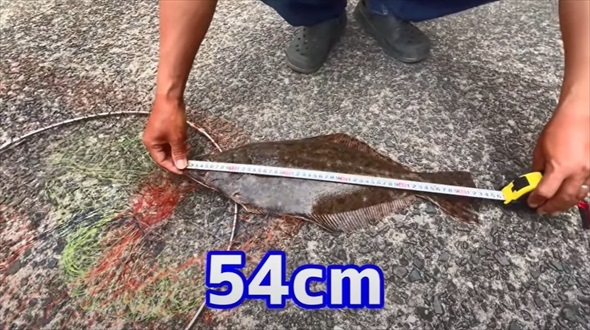 カワハギ釣りに行ったはずの妻が超大物ゲット