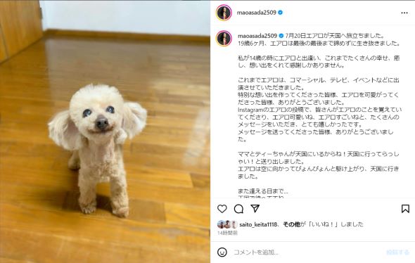おすすめ