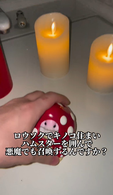 お風呂インテリア