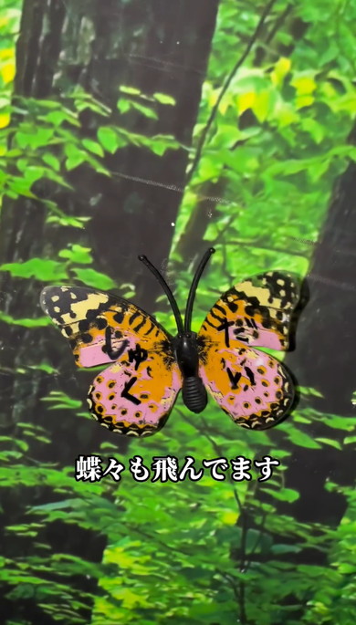 お風呂インテリア
