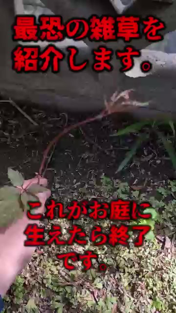 おすすめ