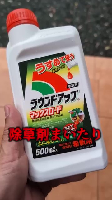 除草剤まいたり