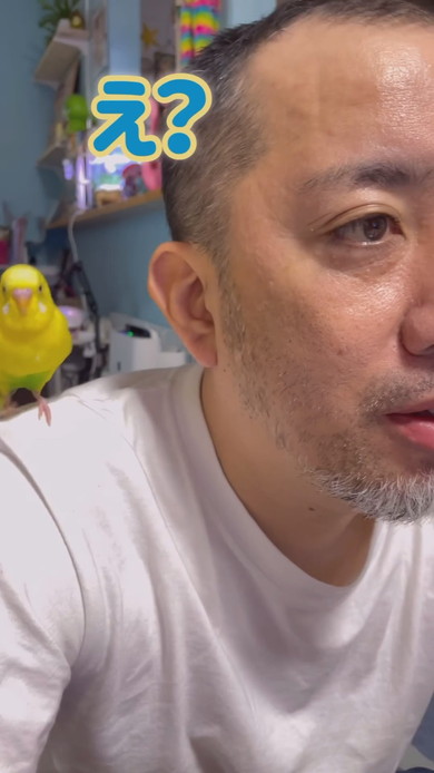 セキセイインコと男性