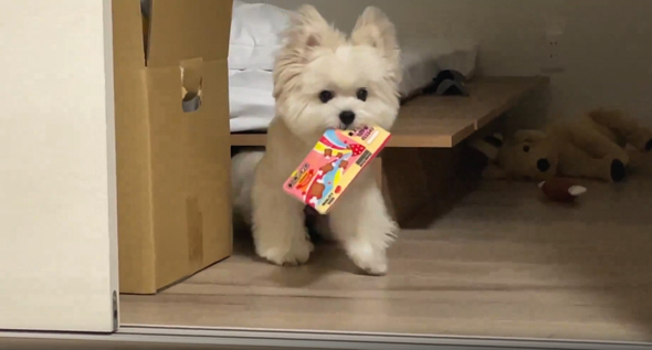 ベッドから脱出成功