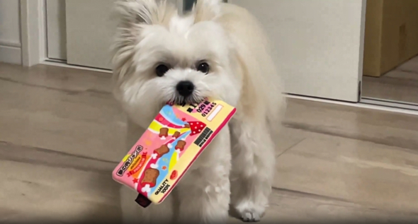 手に入れた宝くじに満足げ