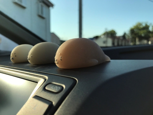 アザラシ溶ける前