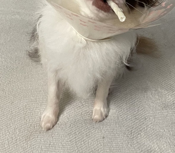 おすすめ
