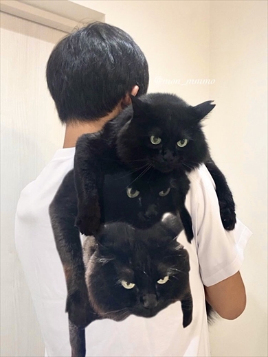 愛猫をデザインしたユニークなTシャツ