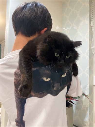 愛猫をデザインしたユニークなTシャツ