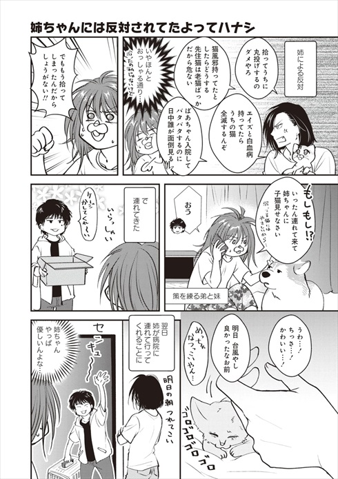 猫とハスキーとハマジ