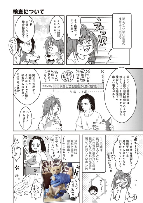 猫とハスキーとハマジ