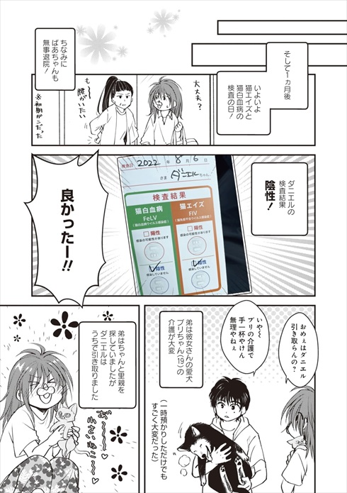 猫とハスキーとハマジ