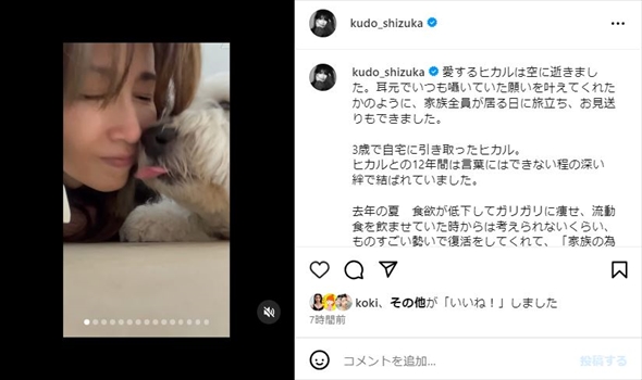 工藤静香の愛犬