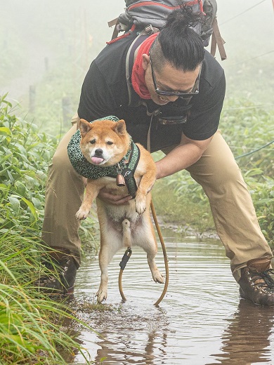 飼い主に救助された瞬間の柴犬