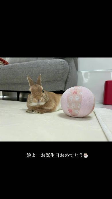 20歳の誕生日を迎えた娘に一言