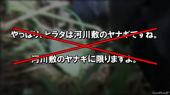 やっぱりヒラタはにバツ印
